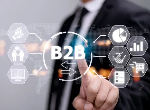 B2B, B2C Service