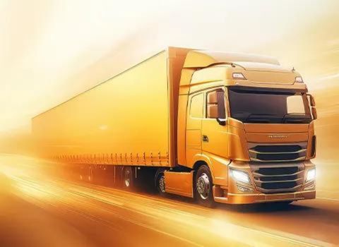 Express Courier Service